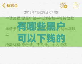 有哪些黑户可以下钱的口子,精心分析5款最新的黑户口子论坛
