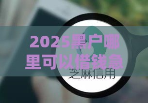 分期长期限的贷款口子有哪些？实测推荐！收藏备用