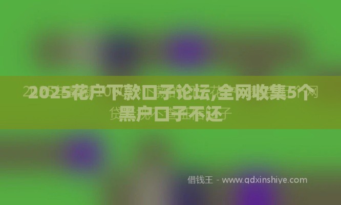 2025花户下款口子论坛,全网收集5个黑户口子不还
