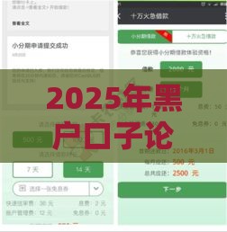 2025年黑户口子论坛,全网收集5个黑户银行贷款口子
