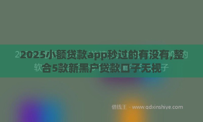 2025小额贷款app秒过的有没有,整合5款新黑户贷款口子无视