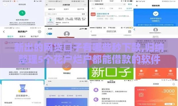 新出的网贷口子有哪些秒下款,归纳整理5个花户烂户都能借款的软件