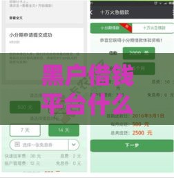 黑户借钱平台什么最好下款,整合5款黑户口子不限年纪