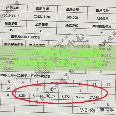2025不查征信大数据的秒下款平台,精心分析5款18年黑户分期口子