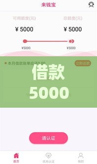 借款5000不看征信秒到账的平台有哪些,精心分析5款黑户好下款的大口子