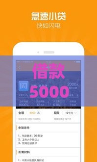 借款5000不看征信秒到账的平台有哪些,精心分析5款黑户好下款的大口子