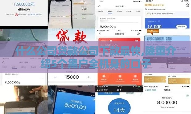 什么公司贷款公司下款最快,隆重介绍5个黑户全机身的口子