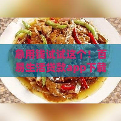 急用钱试试这个！百易生活贷款app下载官网——低门槛申请全攻略