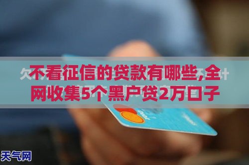 不看征信的贷款有哪些,全网收集5个黑户贷2万口子