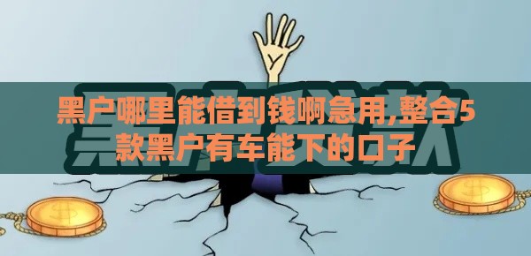 黑户哪里能借到钱啊急用,整合5款黑户有车能下的口子