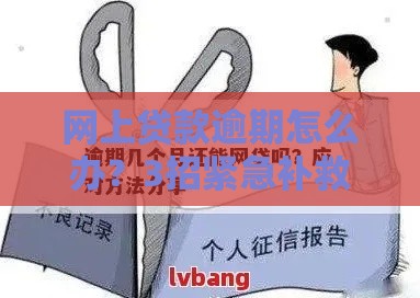 网上贷款逾期怎么办？3招紧急补救，避免影响征信！