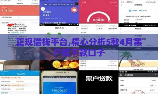 正规借钱平台,精心分析5款4月黑户能下款口子