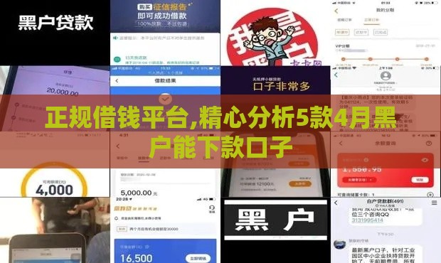 正规借钱平台,精心分析5款4月黑户能下款口子