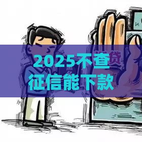 2025不查征信能下款的贷款口子,全网收集5个黑户贷款秒下款口子