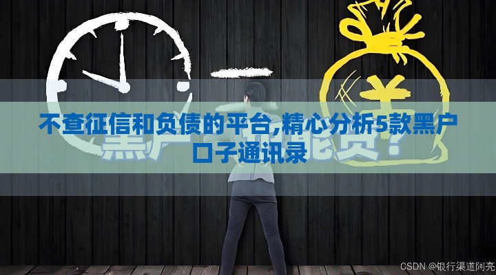 不查征信和负债的平台,精心分析5款黑户口子通讯录