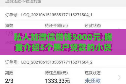 私人加微信借钱5000元,隆重介绍5个黑户贷款的小贷口子