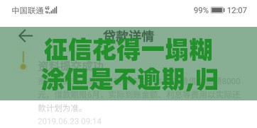 征信花得一塌糊涂但是不逾期,归纳整理5个最近疯传的黑户口子