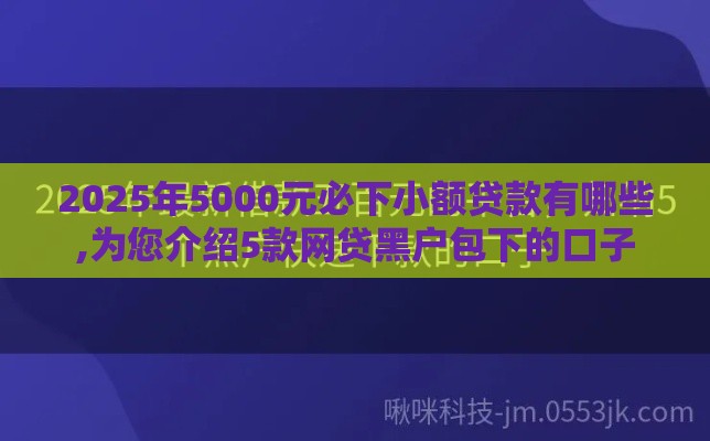 2025年5000元必下小额贷款有哪些,为您介绍5款网贷黑户包下的口子