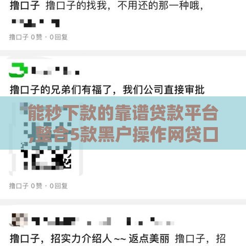 能秒下款的靠谱贷款平台,整合5款黑户操作网贷口子