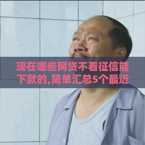 现在哪些网贷不看征信能下款的,简单汇总5个最近黑户跟风了口子