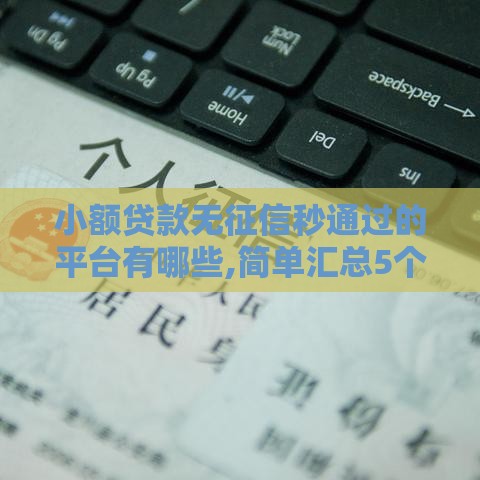 小额贷款无征信秒通过的平台有哪些,简单汇总5个2025黑户口子群
