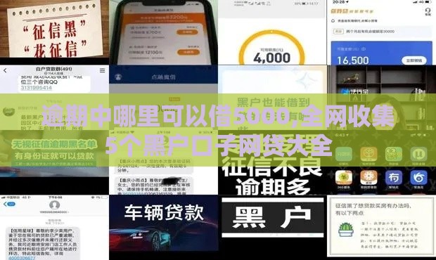 逾期中哪里可以借5000,全网收集5个黑户口子网贷大全