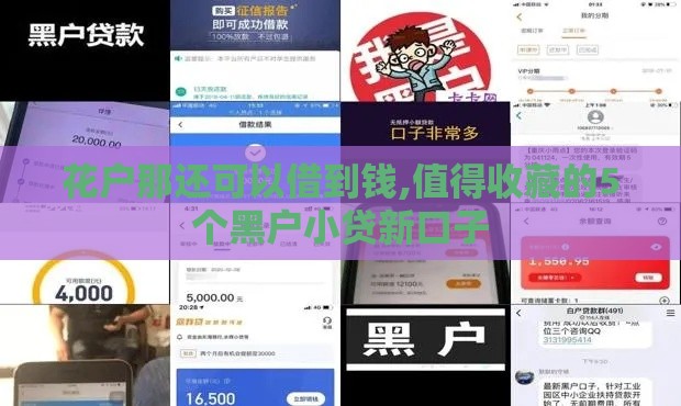 花户那还可以借到钱,值得收藏的5个黑户小贷新口子