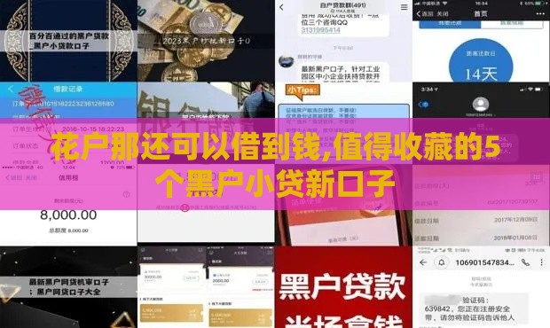 花户那还可以借到钱,值得收藏的5个黑户小贷新口子