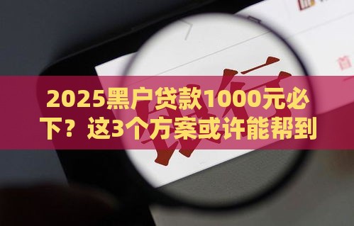 2025黑户贷款1000元必下？这3个方案或许能帮到你