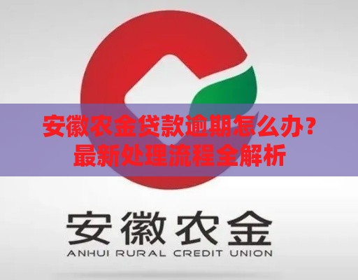安徽农金贷款逾期怎么办？最新处理流程全解析