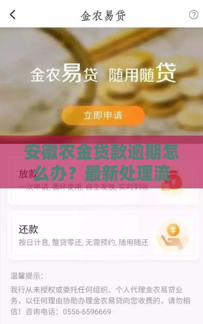 安徽农金贷款逾期怎么办？最新处理流程全解析
