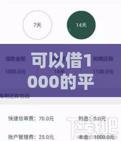 可以借1000的平台秒下款,隆重介绍5个有没黑户网贷口子