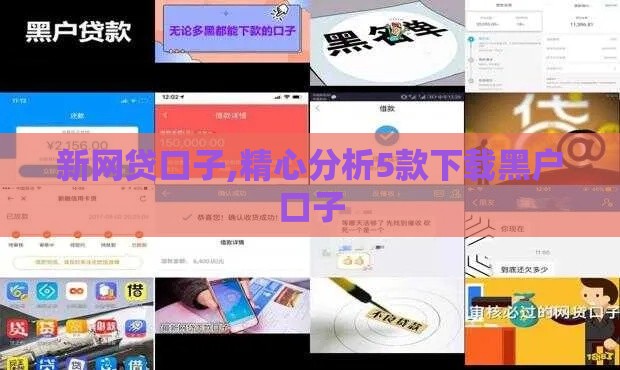 新网贷口子,精心分析5款下载黑户口子