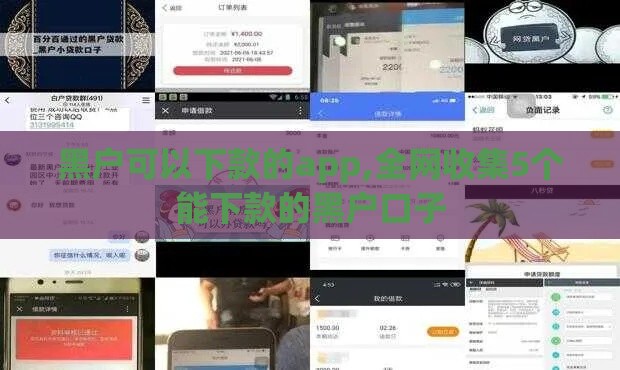 黑户可以下款的app,全网收集5个能下款的黑户口子