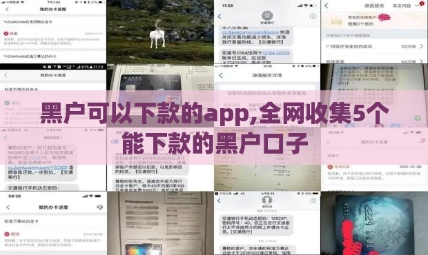 黑户可以下款的app,全网收集5个能下款的黑户口子