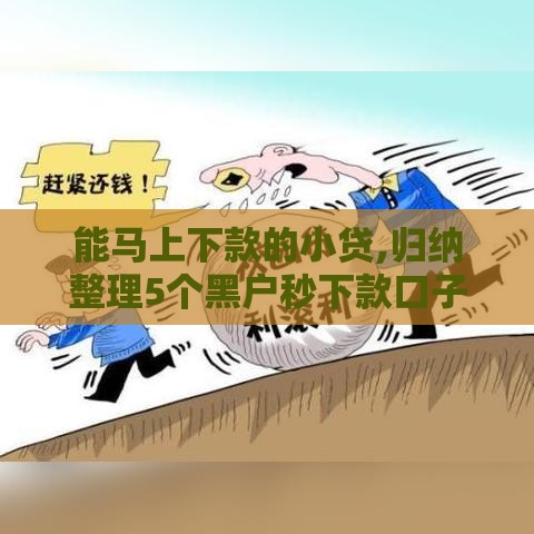 能马上下款的小贷,归纳整理5个黑户秒下款口子