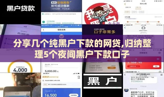 分享几个纯黑户下款的网贷,归纳整理5个夜间黑户下款口子