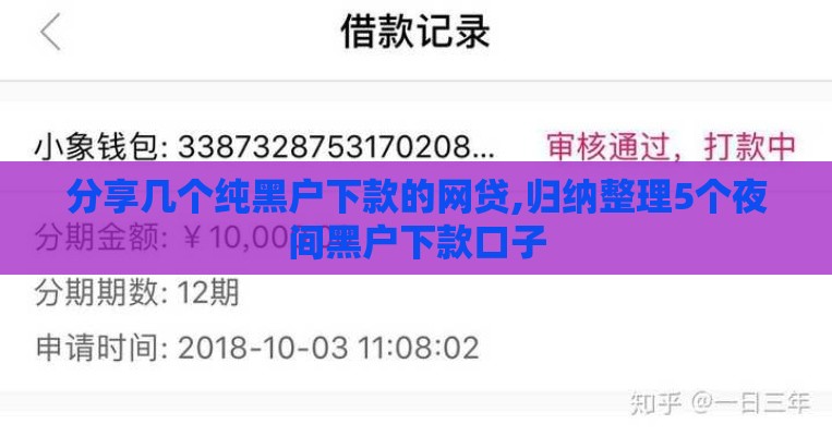 分享几个纯黑户下款的网贷,归纳整理5个夜间黑户下款口子