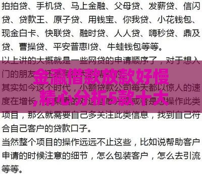 金瀛借款放款好慢,精心分析5款十大黑户口子