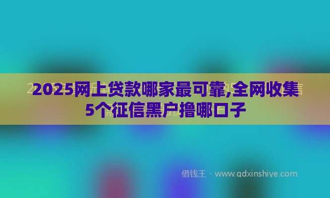 2025网上贷款哪家最可靠,全网收集5个征信黑户撸哪口子