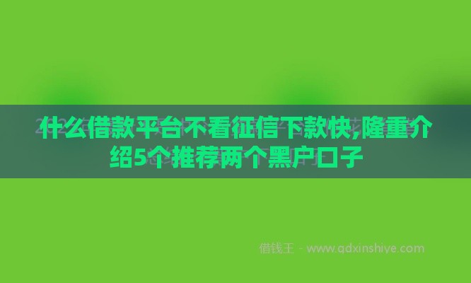什么借款平台不看征信下款快,隆重介绍5个推荐两个黑户口子