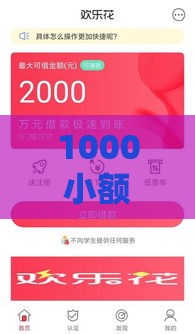 1000小额贷款下口子,隆重介绍5个网上贷款口子黑户