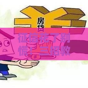 征信花了别慌！三招教你优化借款资质轻松下款