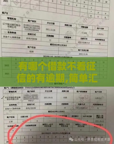 有哪个借款不看征信的有逾期,简单汇总5个黑户无视芝麻分口子