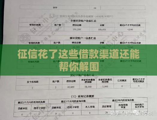 征信花了这些借款渠道还能帮你解围