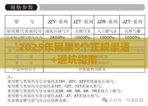 2025年网黑5个正规渠道+避坑指南