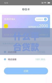 什么平台贷款好通过不看征信,全网收集5个黑户口子百度知道