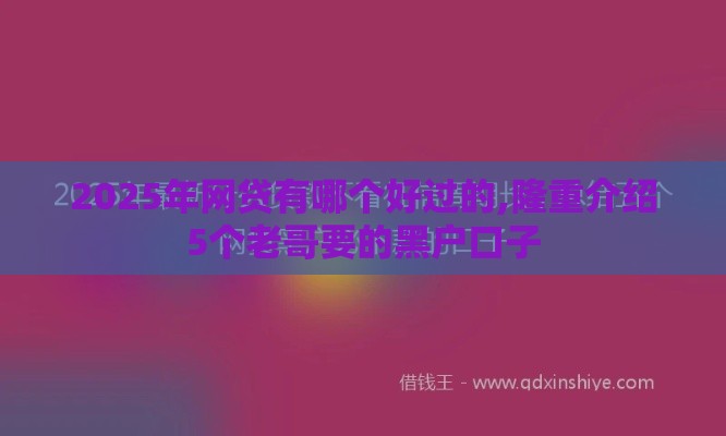 2025年网贷有哪个好过的,隆重介绍5个老哥要的黑户口子