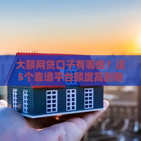 大额网贷口子有哪些？这5个靠谱平台额度高到账快