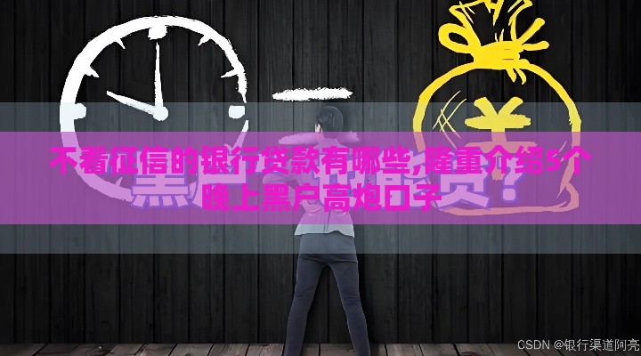 不看征信的银行贷款有哪些,隆重介绍5个晚上黑户高炮口子